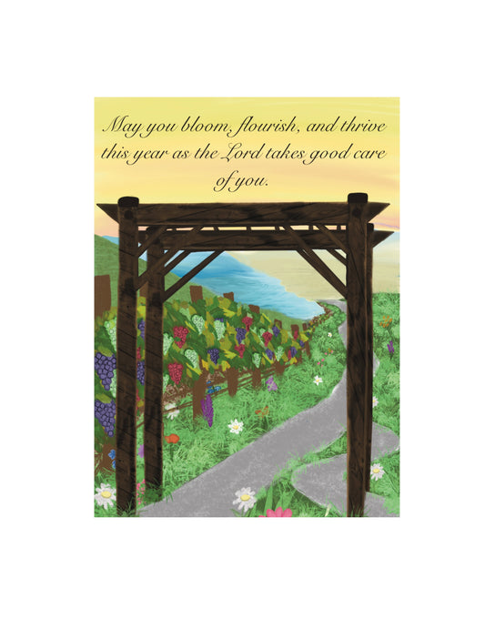 Vineyard Greeting Card