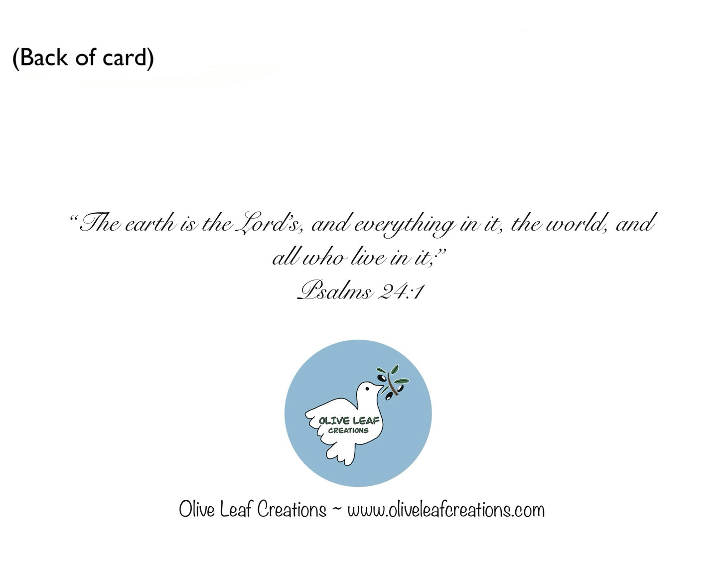 Universe Greeting Card