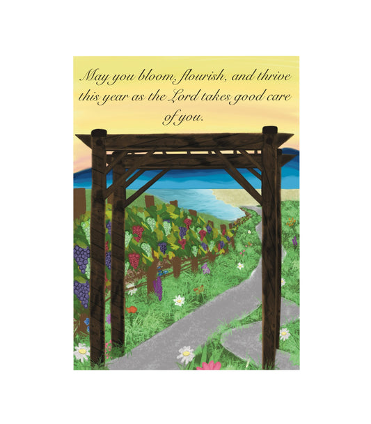 Vineyard Greeting Card