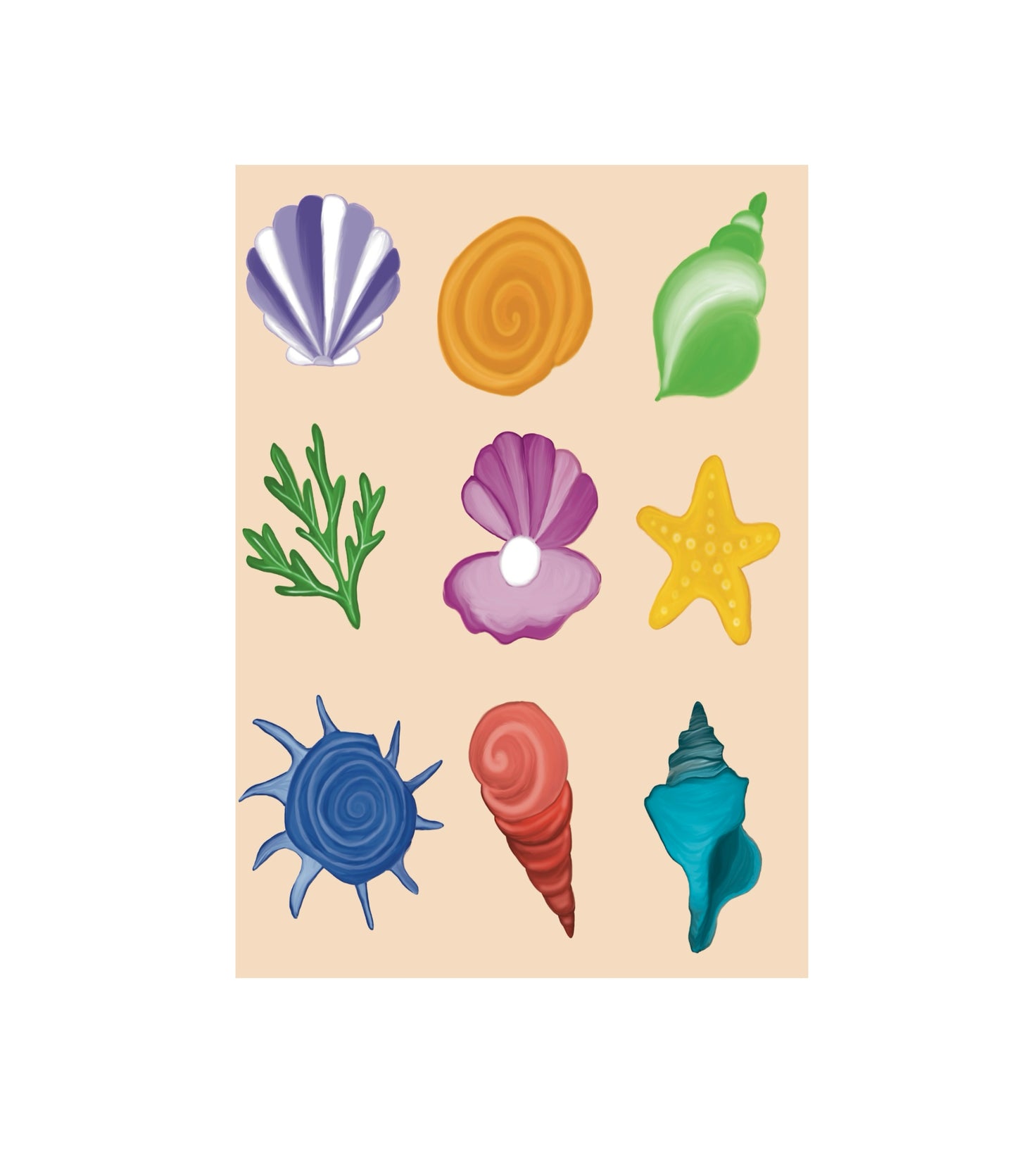 Seashell Greeting Card