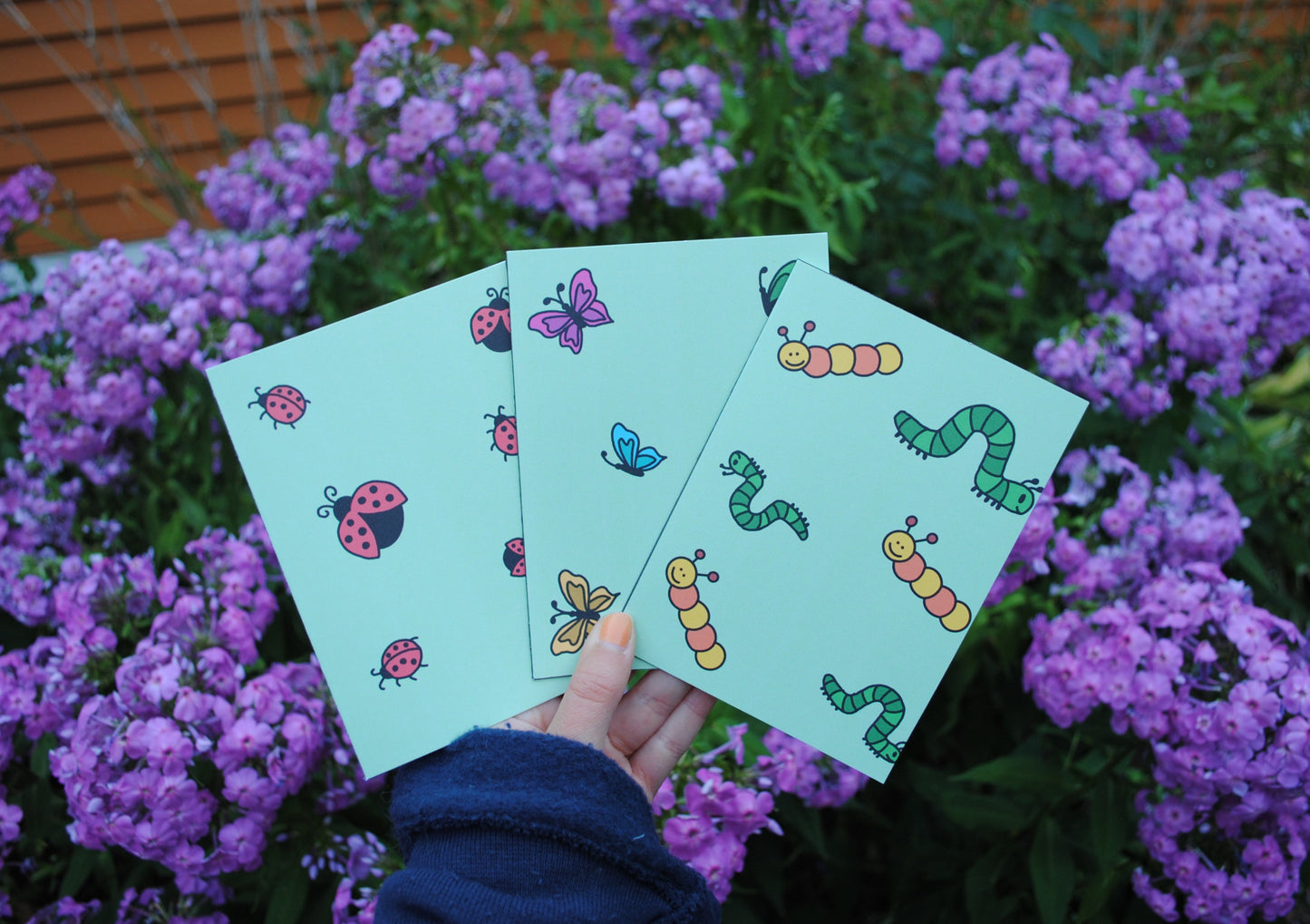 3 Pack of Bugs Greeting Cards
