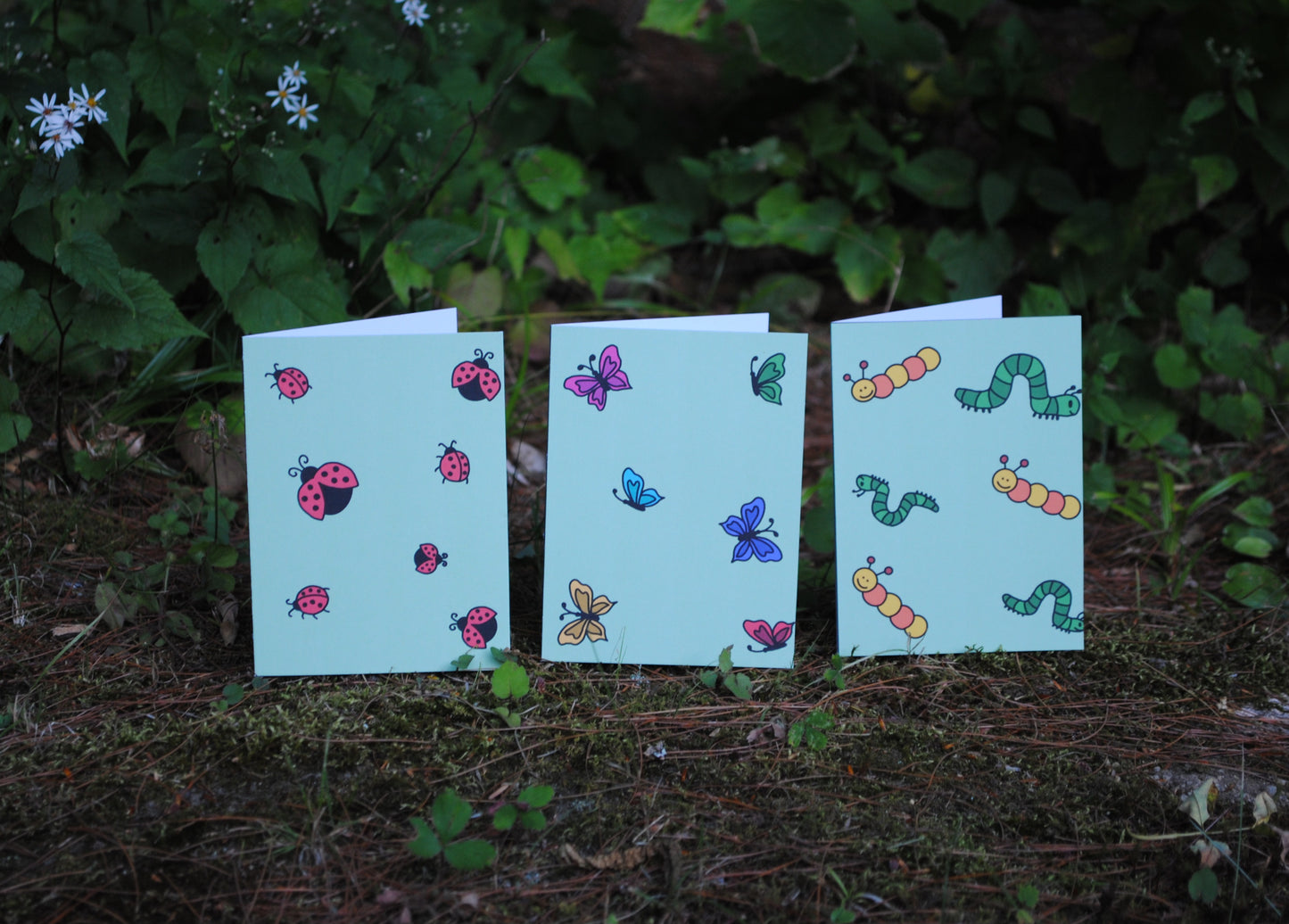 3 Pack of Bugs Greeting Cards