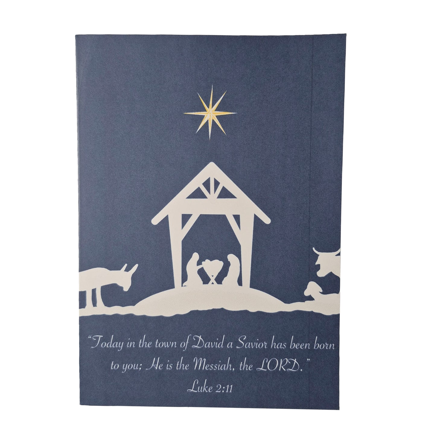 Christmas Greeting Card