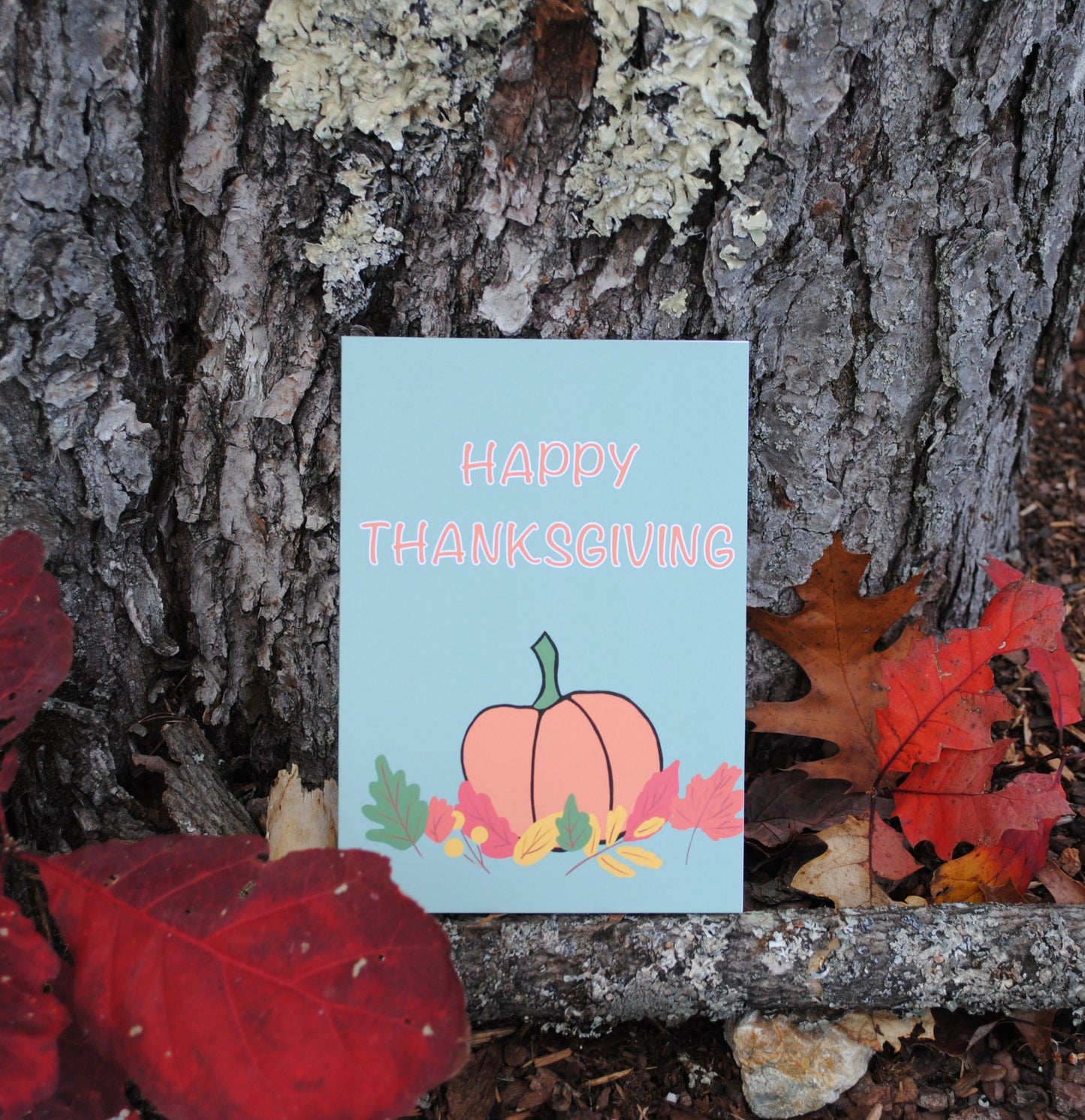 Thanksgiving Greeting Card